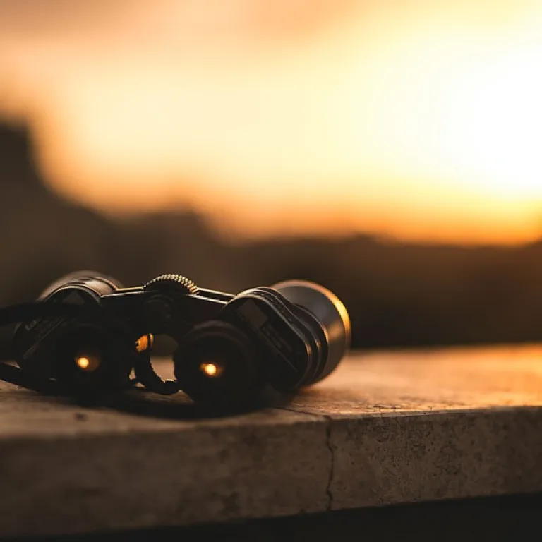 Comment le contenu premium transforme l’investissement dans les médias digitaux